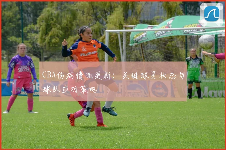 CBA伤病情况更新：关键球员状态与球队应对策略