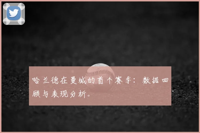 哈兰德在曼城的首个赛季:数据回顾与表现分析。